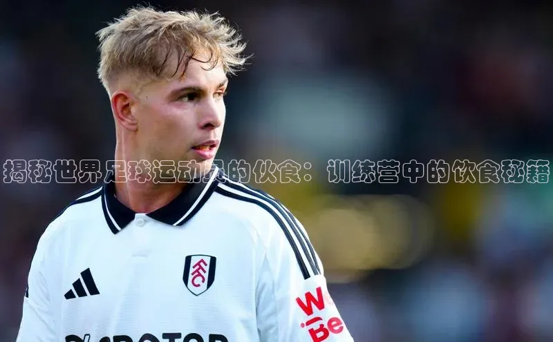 欧陆娱乐登录入口注册百度移动开放平台揭秘世界足球运动员的伙食：训练营中的饮食秘籍