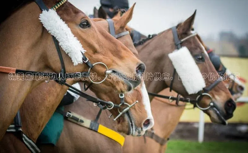 欧陆娱乐App下载链接百家号精美足球运动人抠图素材，专业高清图片供应，百度SEO优化推荐