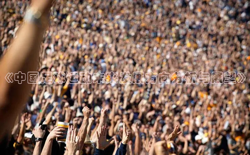 欧陆娱乐平台登录app滴滴出行《中国足球运动未来发展方向分析与展望》