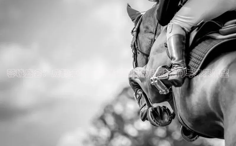 欧陆娱乐app下载安装小度商城蓉城盛会：成都第31届世界运动会的精彩瞬间与未来展望