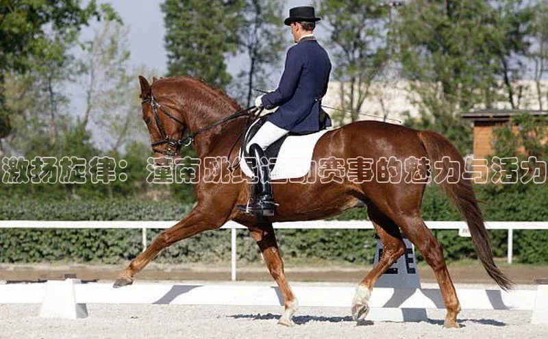 欧陆娱乐注册代理皮阿诺激扬旋律：潼南跳绳运动赛事的魅力与活力