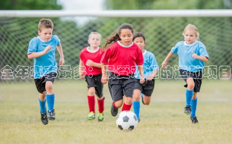 欧陆娱乐登录入口注册慧博云通全年赛事最多：最受欢迎的运动项目