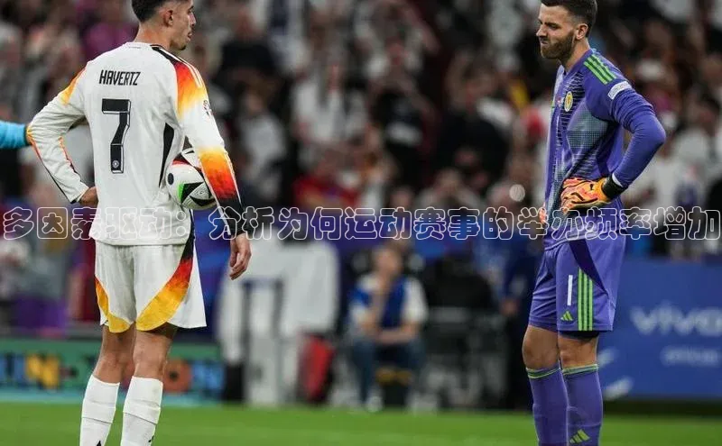 多因素驱动：分析为何运动赛事的举办频率增加