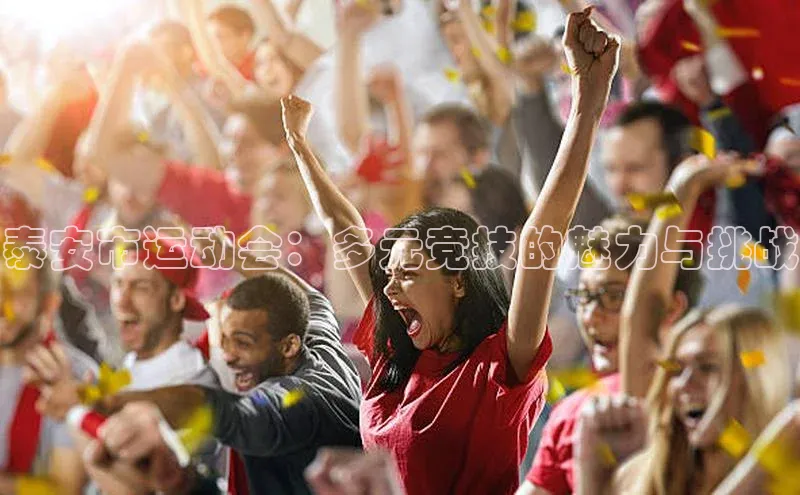 泰安市运动会：多元竞技的魅力与挑战