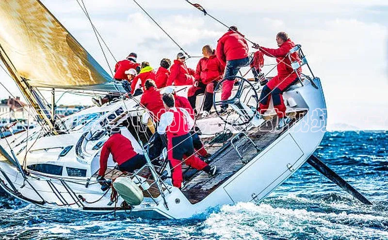 ：运动赛事中的比赛互动视频大全