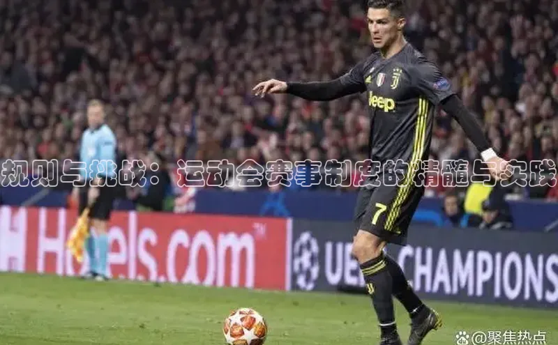 规则与挑战：运动会赛事制度的精髓与实践