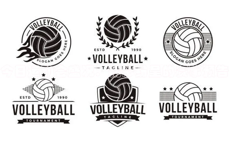 今日运动会盛况：精彩纷呈的赛事预告