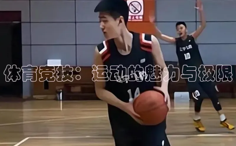 欧陆娱乐平台登录