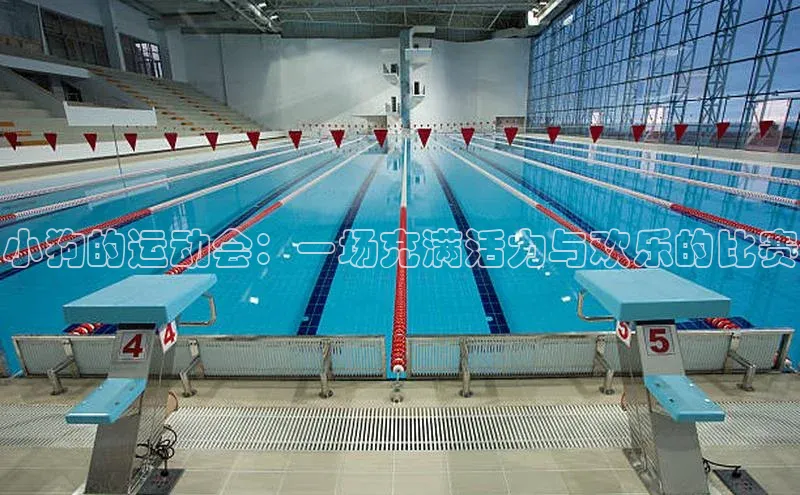 小狗的运动会：一场充满活力与欢乐的比赛